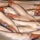 Illustration for article titled Its Time to Taste Now Diverse Range of Special Bengali Fish Delicacies Available Onlineem/em